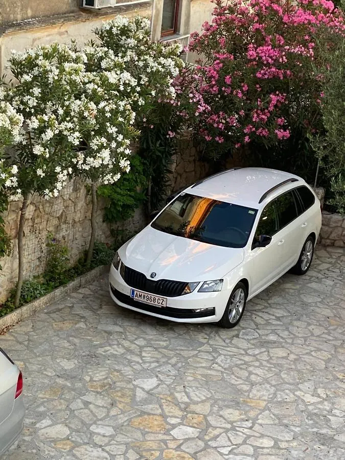 Family Apartments Vesna- 100 M Beach -Center Crikvenica Pensiune