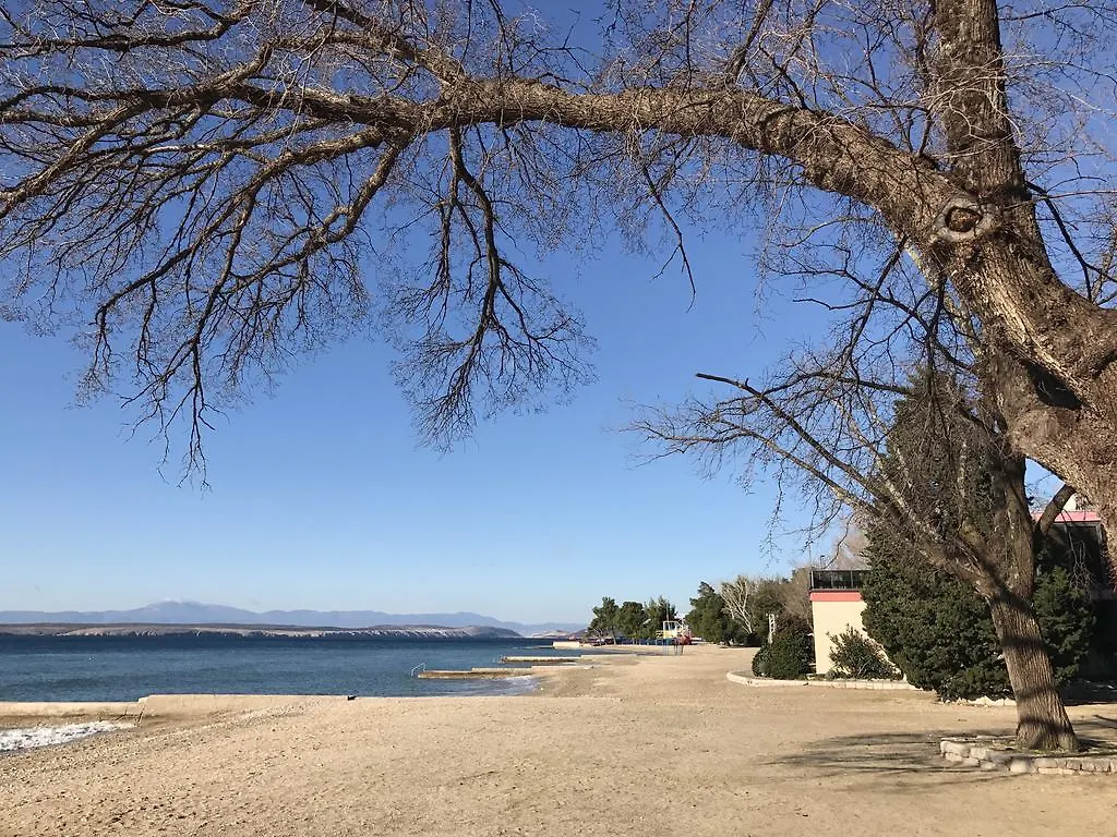 Family Apartments Vesna- 100 M Beach -Center Crikvenica
